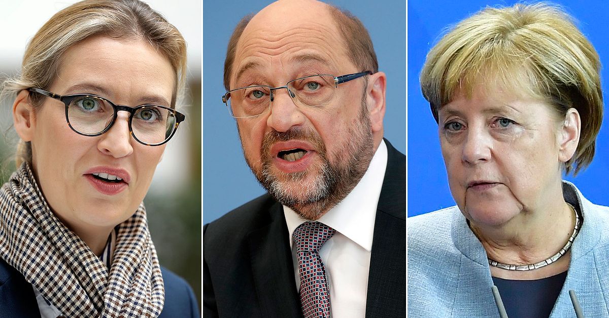 Här är partierna som slåss om makten i tyska valet SVT Nyheter