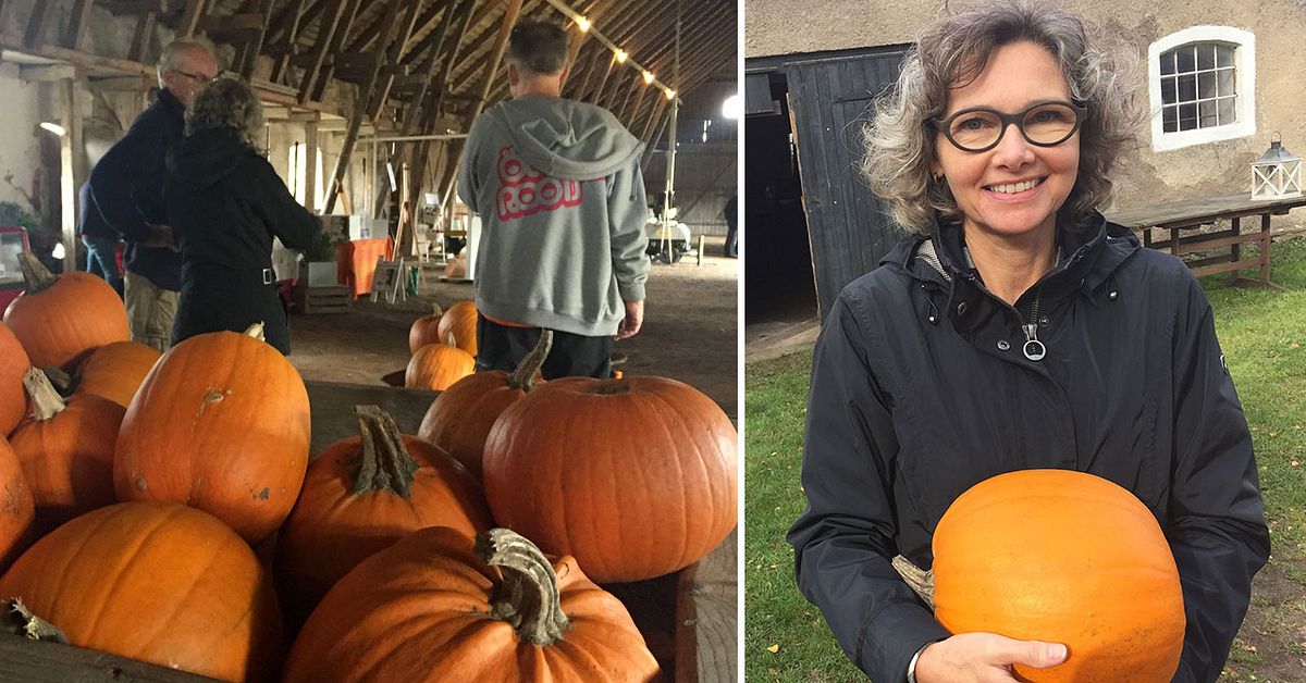 Öland redo för skördefest SVT Nyheter