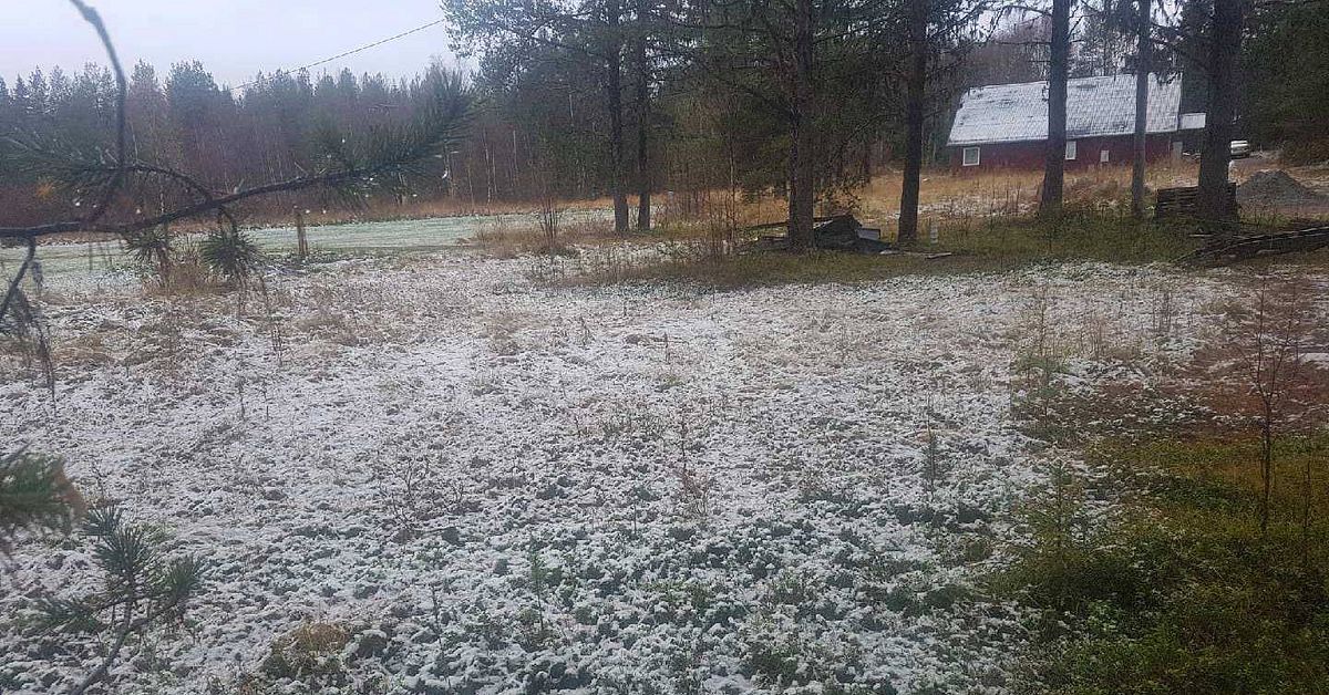 Stort snöfall väntas över hela länet | SVT Nyheter