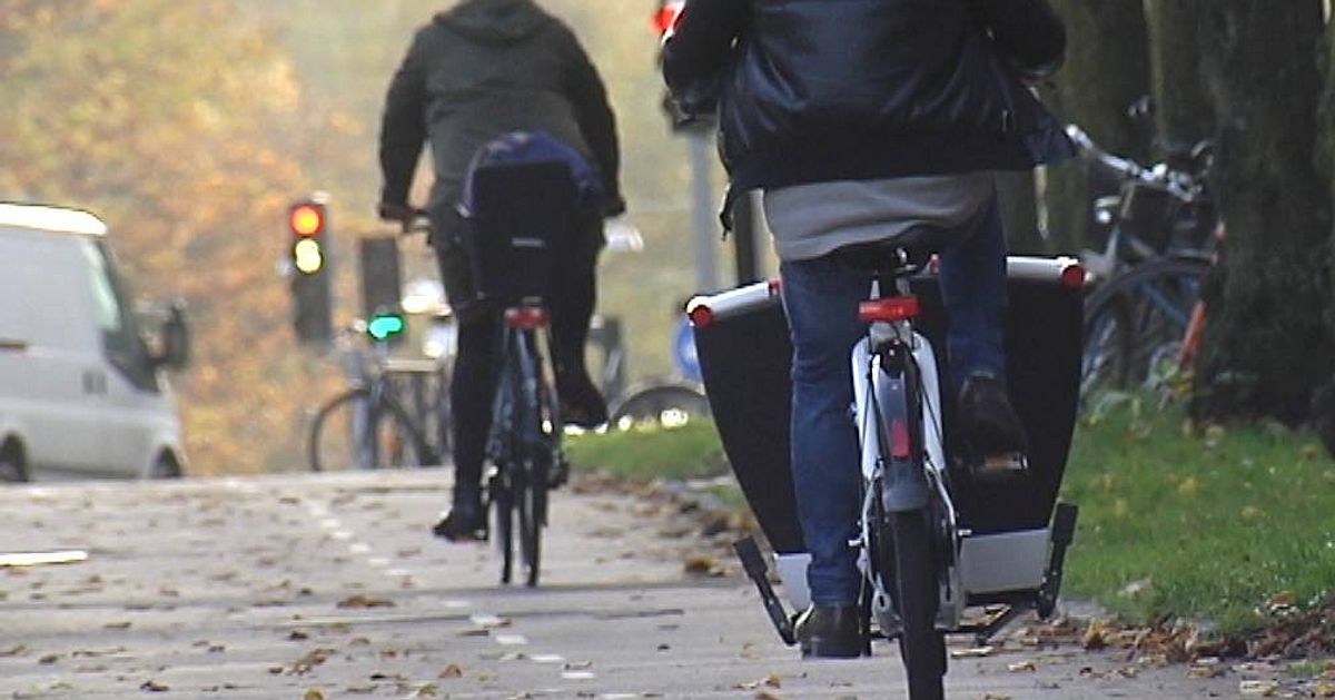 Bidrag för elcykel eldar på försäljningen SVT Nyheter