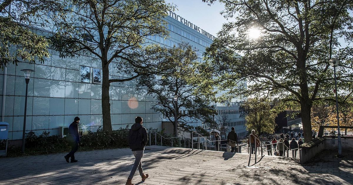 Fler fall av fusk på Stockholms universitet | SVT Nyheter