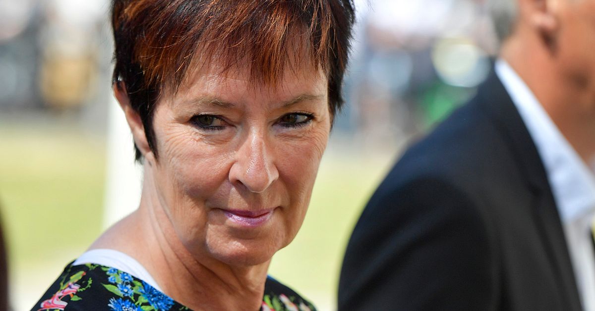 Mona Sahlin straffas för skattebrott | SVT Nyheter