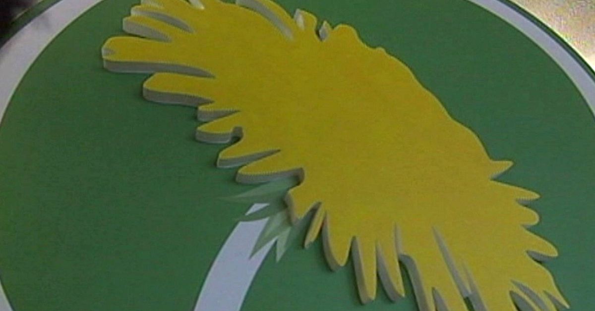 Bråken inom Miljöpartiet | SVT Nyheter
