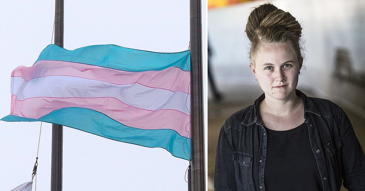 Xotinining mushukining uy qurilishi videosi