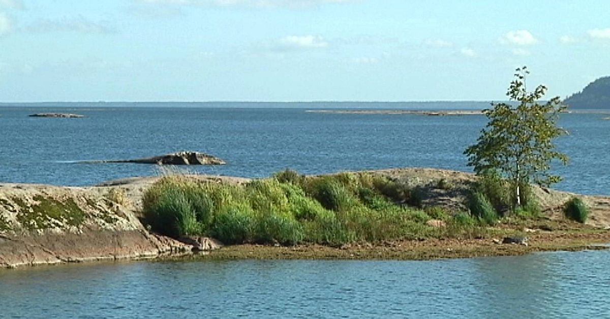 Så ska världen få upp ögonen för Vänern | SVT Nyheter
