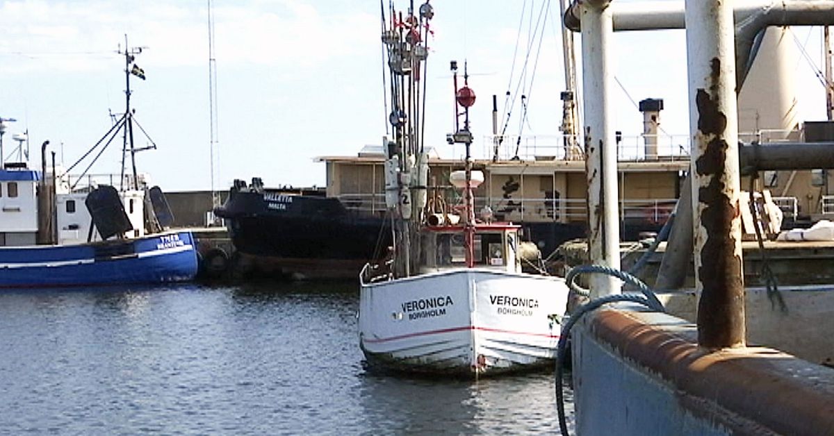 Nya fiskekvoter föreslås för att rädda Simrishamns fiske | SVT Nyheter