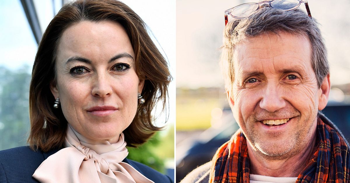Försvarsadvokaten: Martin Timell lättad över den friande domen | SVT ...