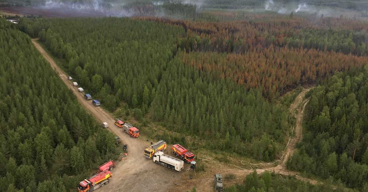 Fallande träd startar nya bränder vid Norrmossaflon | SVT Nyheter