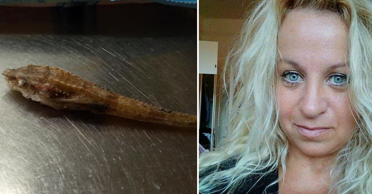 Madeleine hittade ful fisk bland räkorna | SVT Nyheter