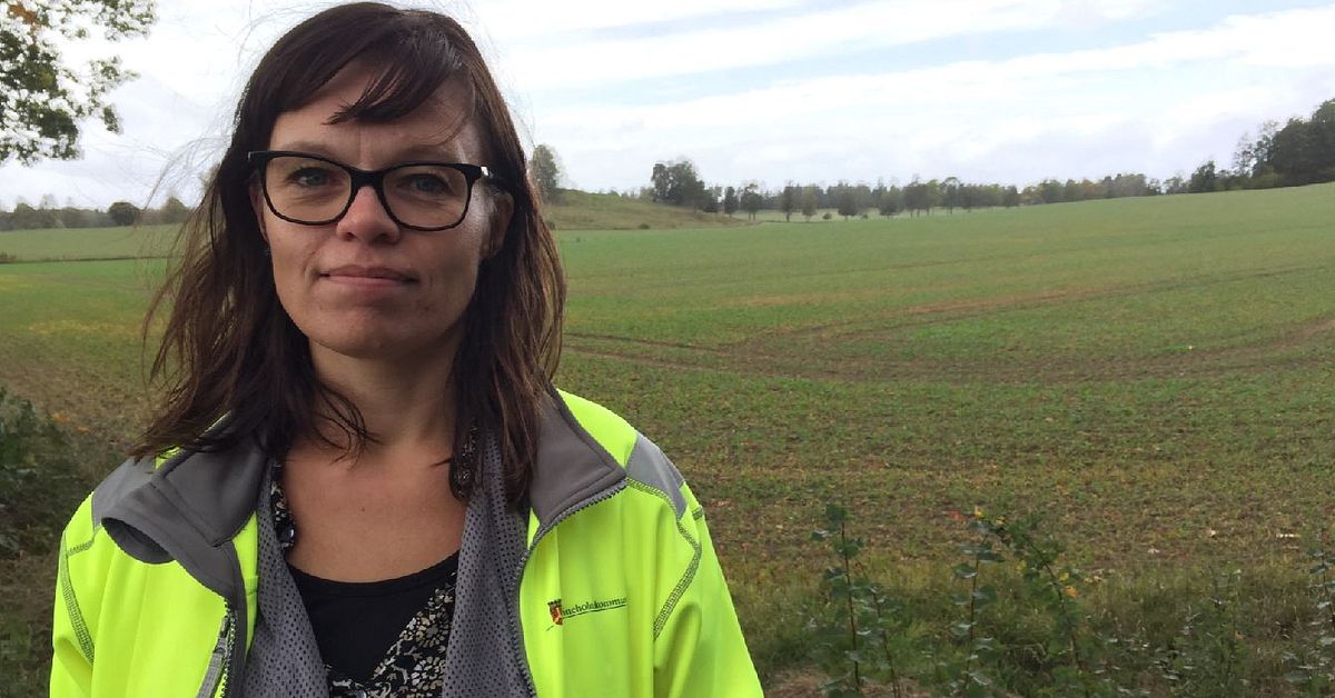 Katrineholms kommun vill förebygga översvämningar genom våtmarker SVT