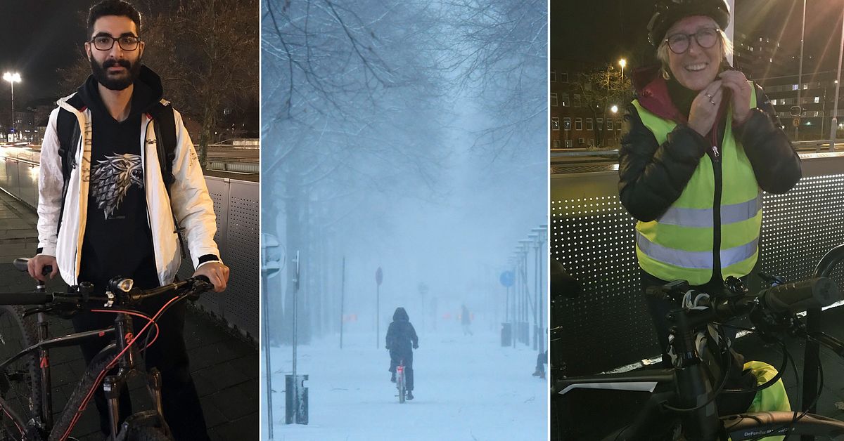 De ska trotsa snö och iskyla – planerar cykla hela vintern | SVT Nyheter