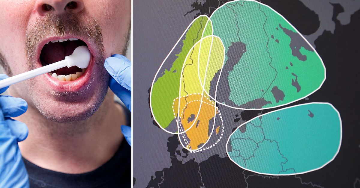 Eksperter kritiserer etniske kart over DNA-tester |  SVT Nyheter