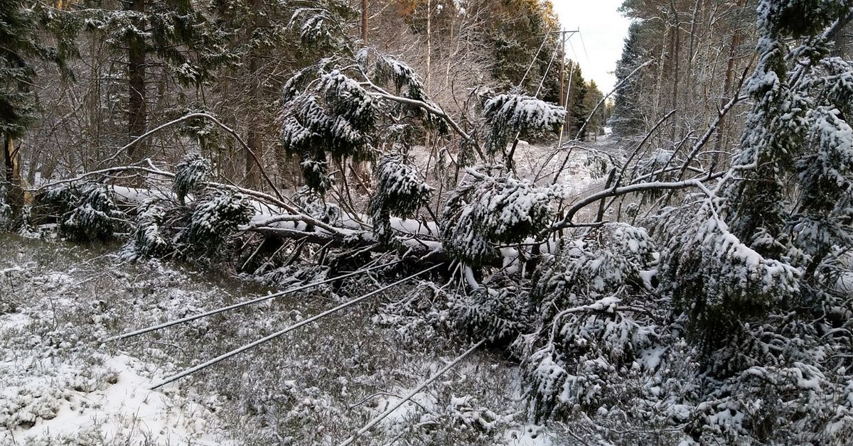 Kraftigt snöfall försvårar reparationerna efter Alfrida | SVT Nyheter
