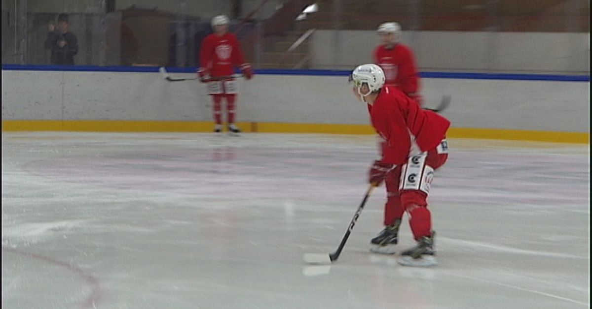 Forshaga går till kval till Hockeyallsvenskan SVT Nyheter