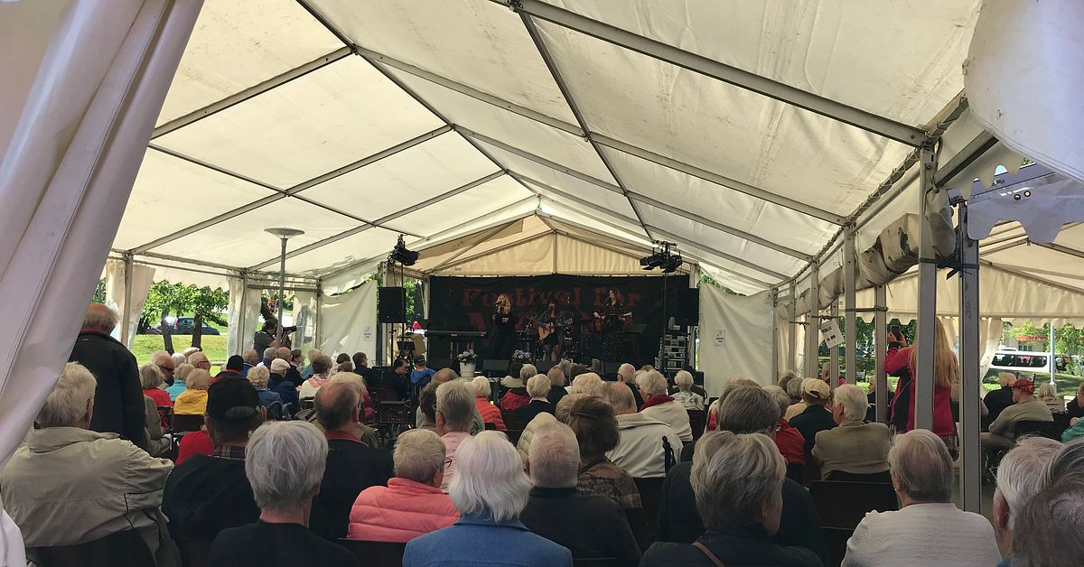 Uppskattad festival lockar flera besökare till Katrineholm SVT Nyheter