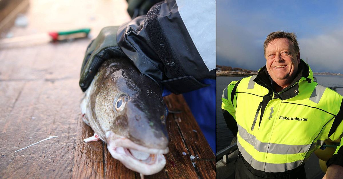 Fiskeriministeren: «Ikke aktuell med fiskestopp for turister»