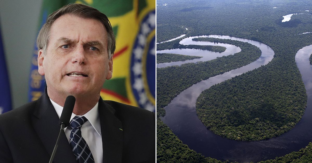 Norge investerer mer enn 300 millioner svenske kroner i brasiliansk regnskog