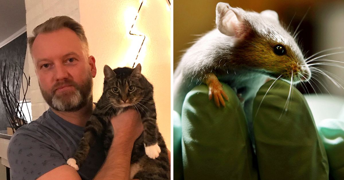 Katten Salli åt musgift – klappade ihop i hallen | SVT Nyheter