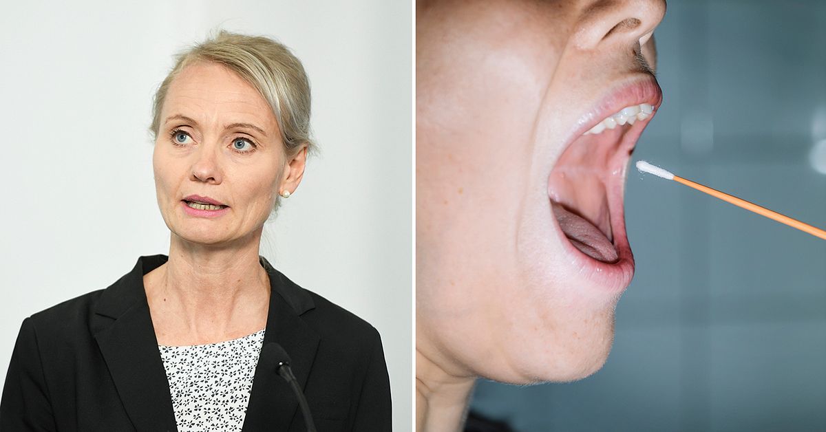 www.svt.se