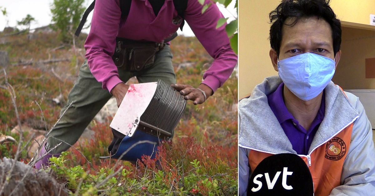 www.svt.se