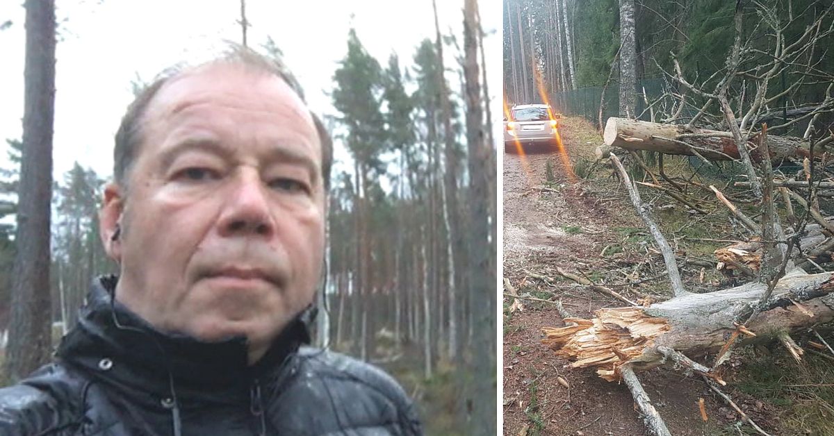 Flera nedblåsta träd och strömavbrott i Dalarna efter stormig natt ...