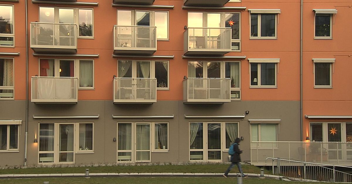 kat-intresse-f-r-kollektivboende-drivs-av-milj-medvetenhet-svt-nyheter