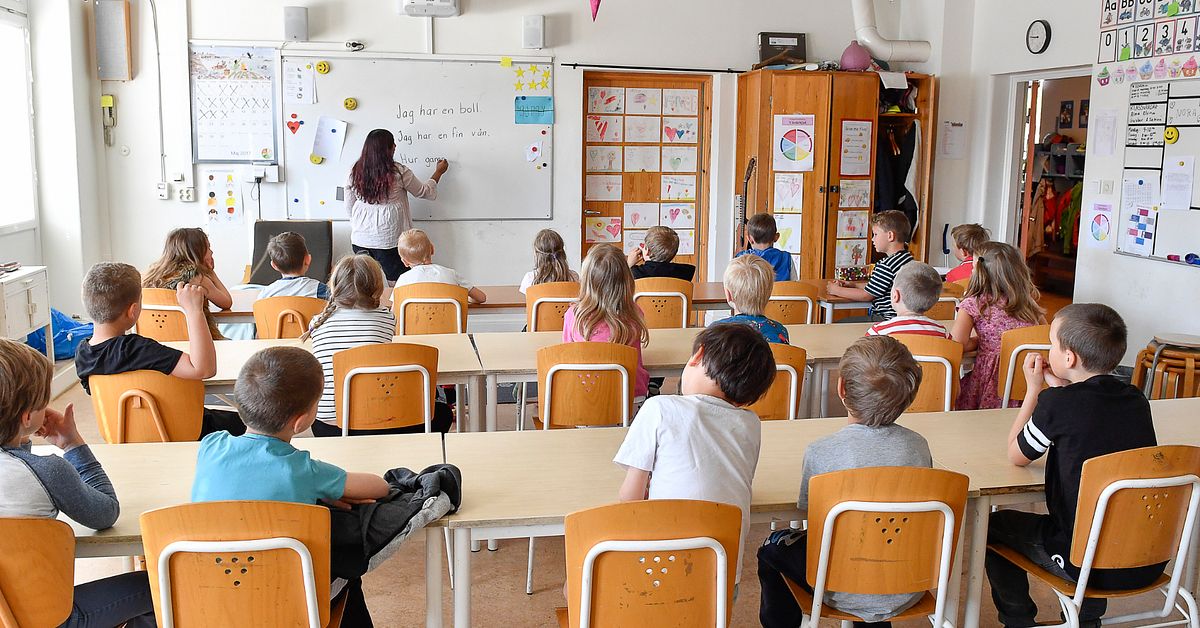 stora-sv-righeter-f-r-barn-med-spr-kst-rning-i-skolan-svt-nyheter