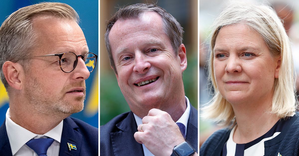 Så har favoriterna svarat om att ta över som partiledare | SVT Nyheter