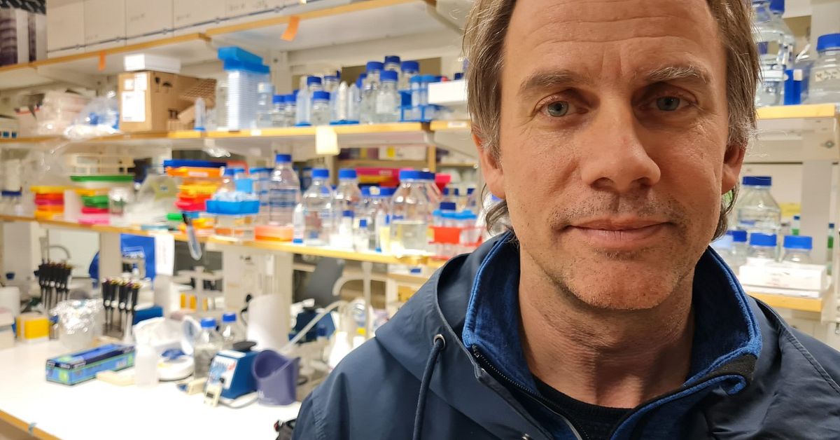 Immunologen Mattias Forsell förklarar varför vissa inte bildar ...