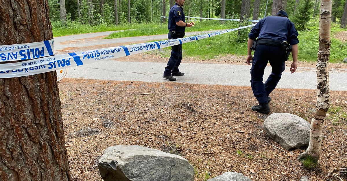 15-åringens ord om dådet på Morö Backe: ”Jag slog bara henne” | SVT Nyheter