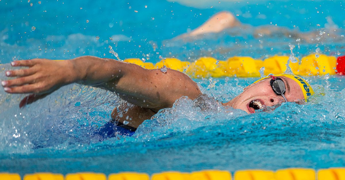 Simning SimEM i gång svenska finalplatser säkrade SVT Sport