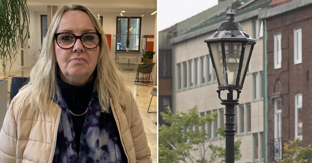 Så kraftsamlar Halmstads kommun inför elkrisen SVT Nyheter