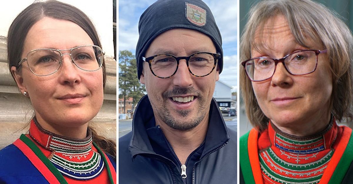 Guide: Här är alla samiska kandidater som blev invalda | SVT Nyheter