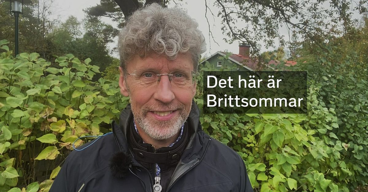 Vad är brittsommar? SVT Nyheter