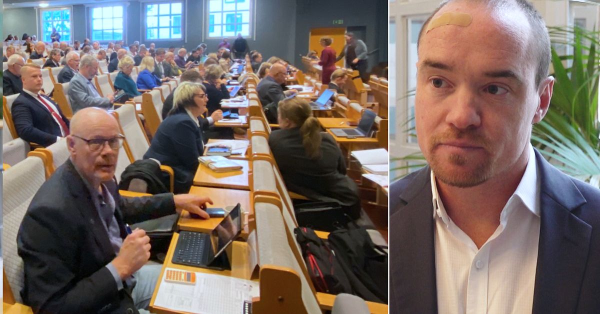 ”Snabb att sätta mig i in i frågor”, säger Kent Ekeroth (SD) efter att ...