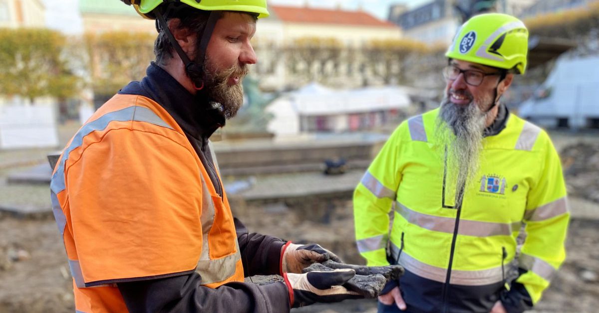 500-r-gamla-skelettdelar-hittade-vid-utgr-vning-i-landskrona-svt-nyheter