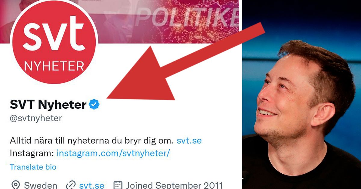 Så här ser du ifall någon betalat för sin blå Twitter-bock | SVT Nyheter