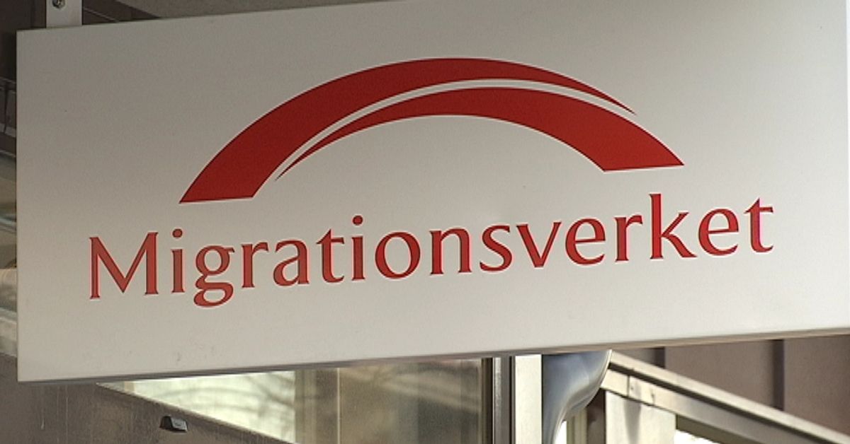 Handläggare på Migrationsverket i Umeå riskerar åtal SVT Nyheter