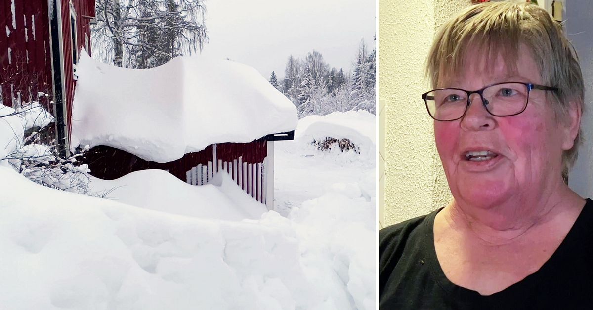 Hattsjöbäcken i Örnsköldsviks kommun har störst snödjup i Sverige SVT