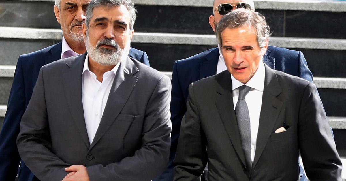 IAEA-chef: Iran tillåter åter övervakning | SVT Nyheter