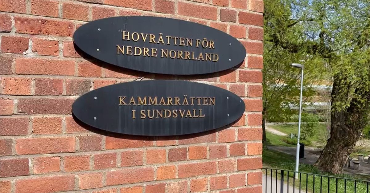 46-ringen-verklagar-livstidsdomen-f-r-mordet-p-liselotte-fr-n-timr