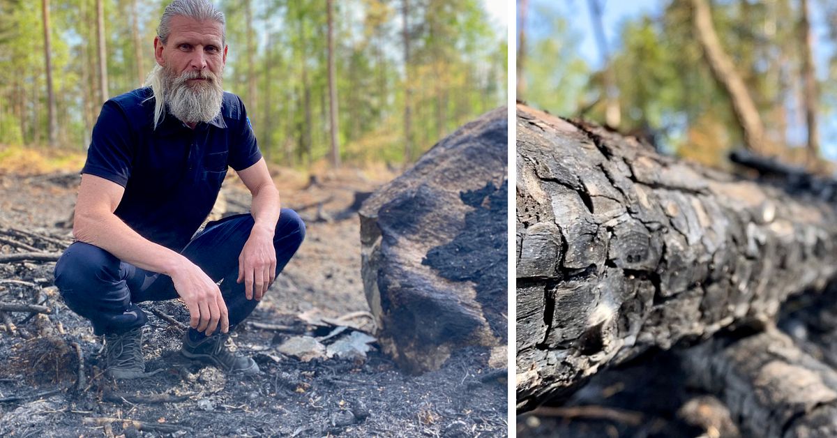 Räddningstjänsten Mälardalen har rustat upp för att stoppa skogsbränder ...