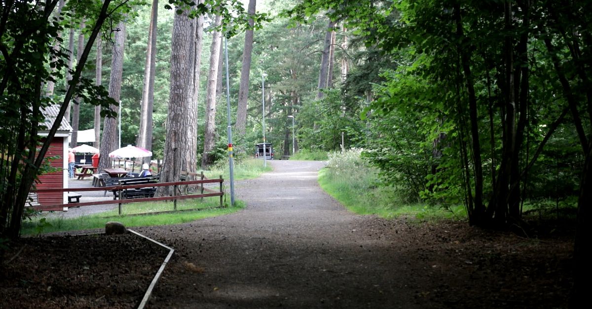 Blottare H rjar I Vrinneviskogen I Norrk ping Setts Fyra Dagar I Rad 