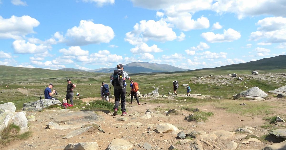 CHATT Gratis Eller Inte Ska Det Kosta Att Vara I Naturen SVT Nyheter