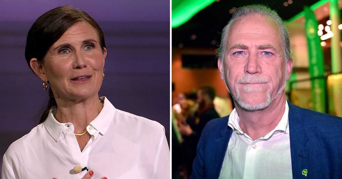 Strid i Miljöpartiet Stenevi dömer ut Helldéns linje SVT Nyheter