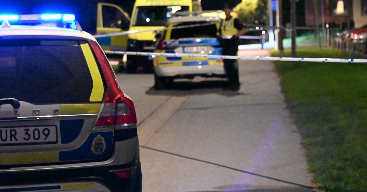 www.svt.se