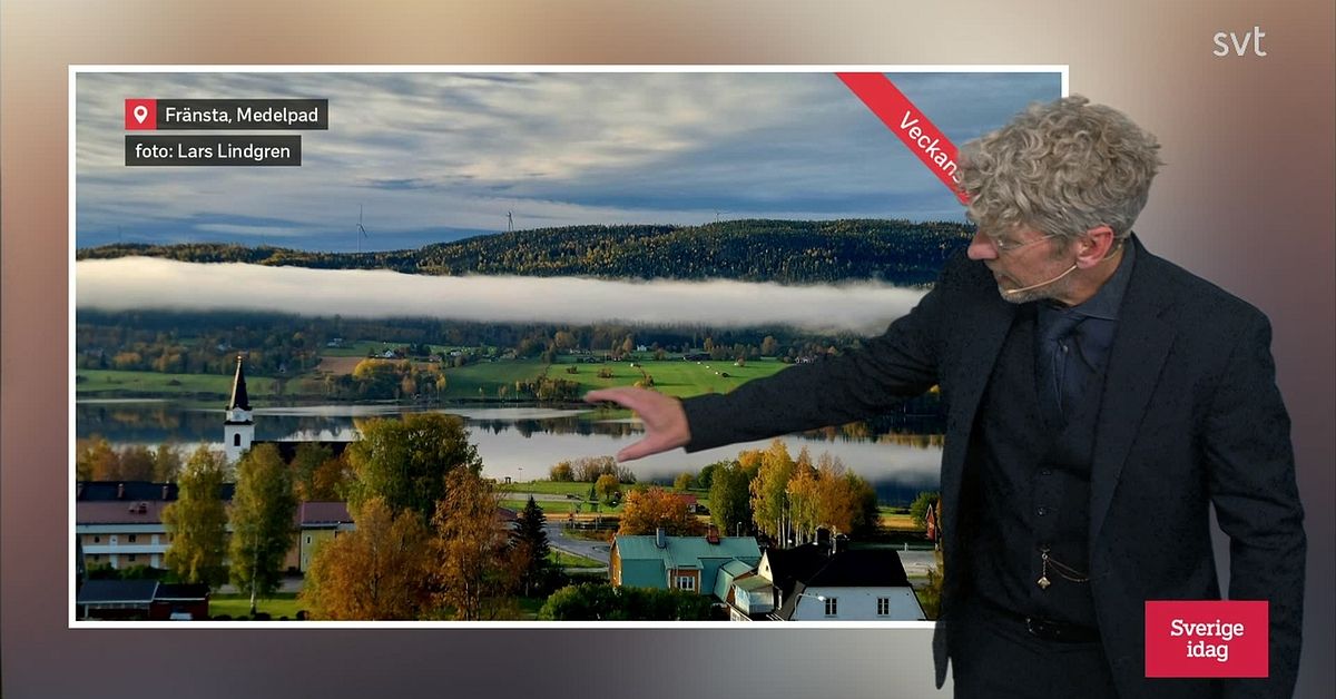 Väderbildstävling 2023 vecka 41 SVT Nyheter