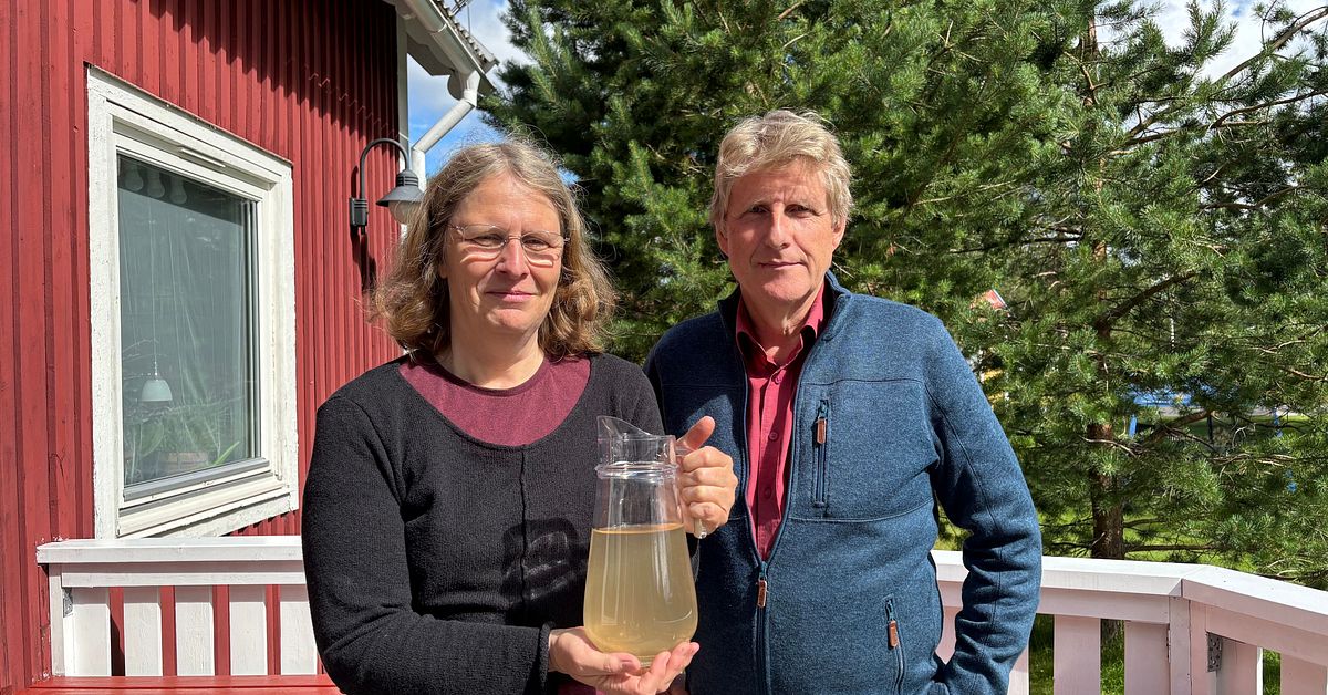Turistf&ouml;retagare i Gargn&auml;s tvingas bjuda turister p&aring; brunt vatten: &rdquo;Inte vana&rdquo;