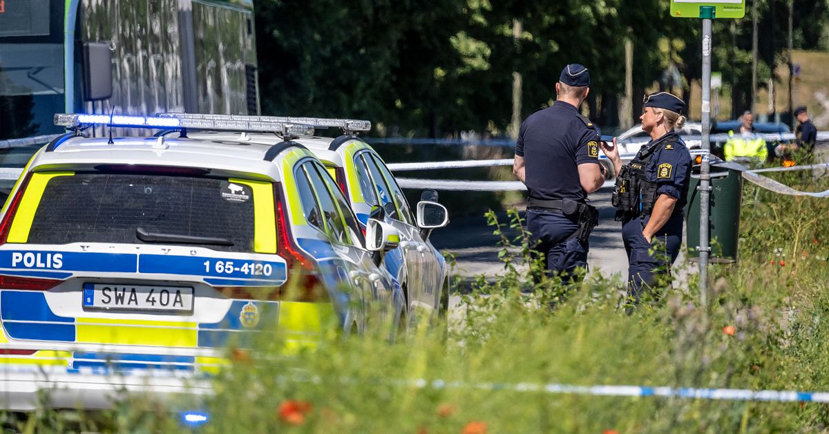 Mordf&ouml;rs&ouml;ket p&aring; bussen  i Malm&ouml;: Misst&auml;nkt 18-&aring;ring  tidigare d&ouml;md f&ouml;r brott mot knivlagen
