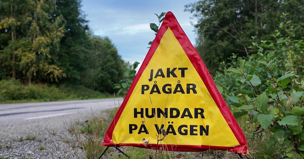 Tre saker du b&ouml;r ha koll p&aring; som norrl&auml;nning
